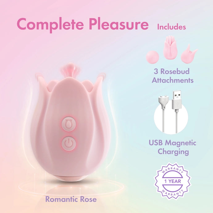 Romantic Rose
